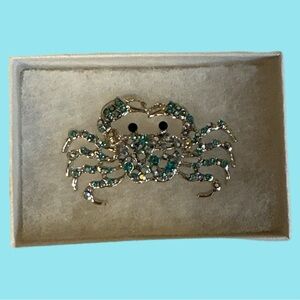 Brooch - Nautical Beach or Horoscope cancer Aqua Color Crab